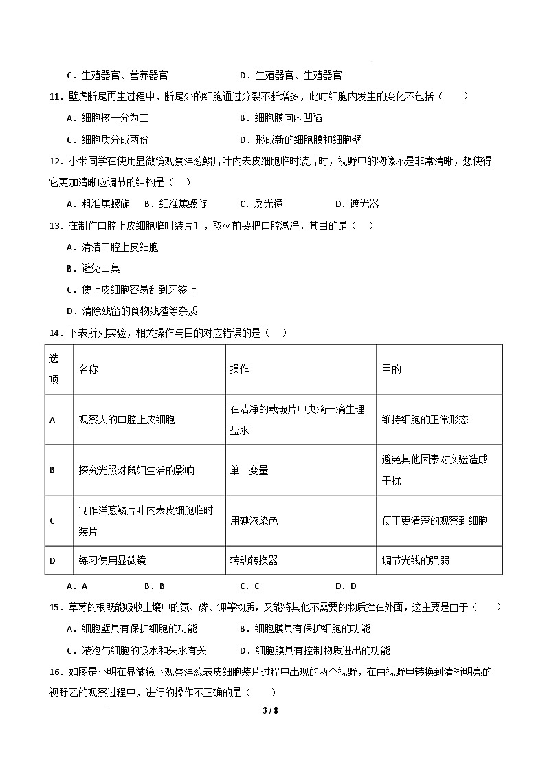 七年级生物开学摸底考（考试版）（北京专用）第3页