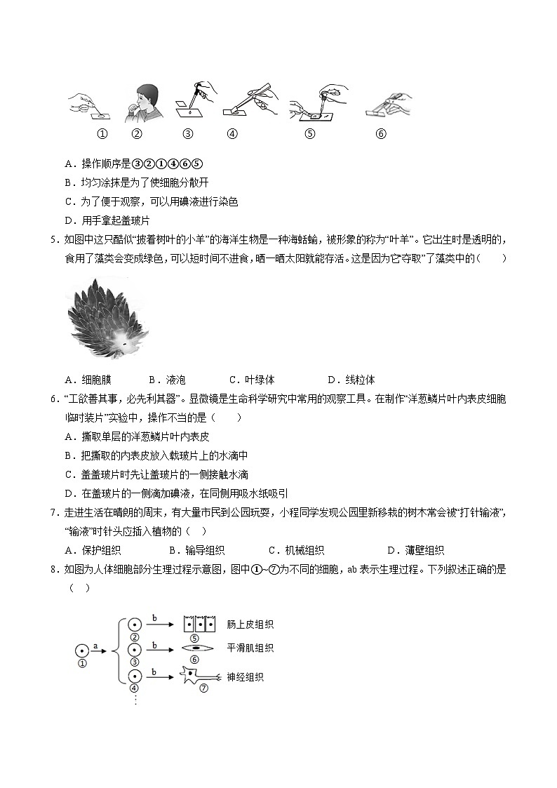 七年级生物开学摸底考（南京专用）（考试版）第2页