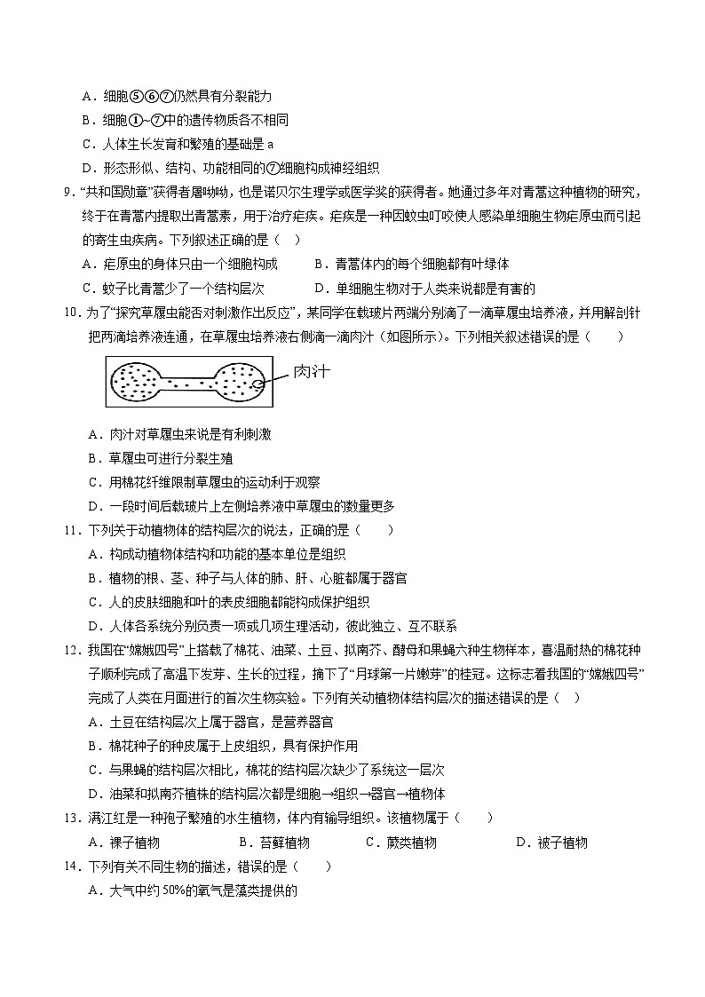 七年级生物开学摸底考（南京专用）（考试版）第3页
