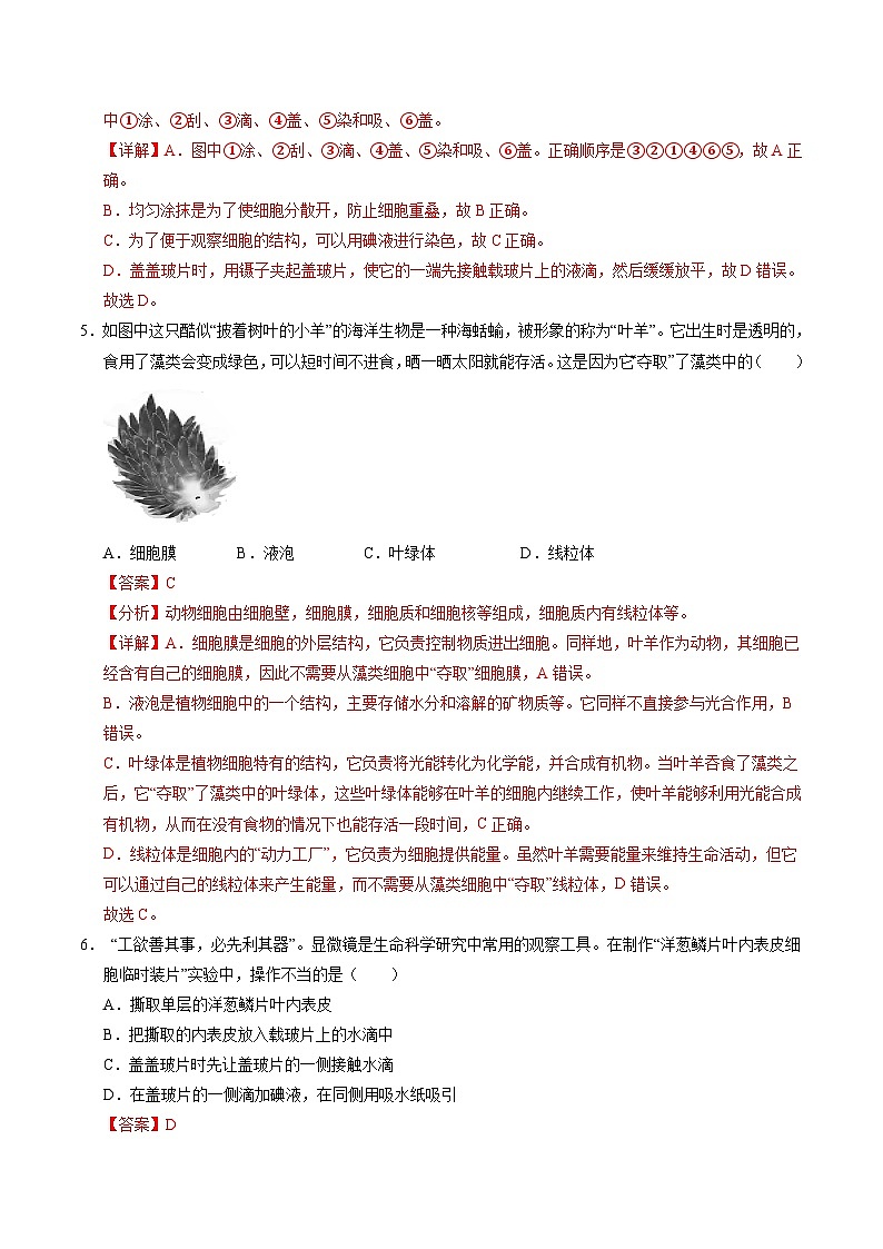 七年级生物开学摸底考（南京专用）（全解全析）第3页