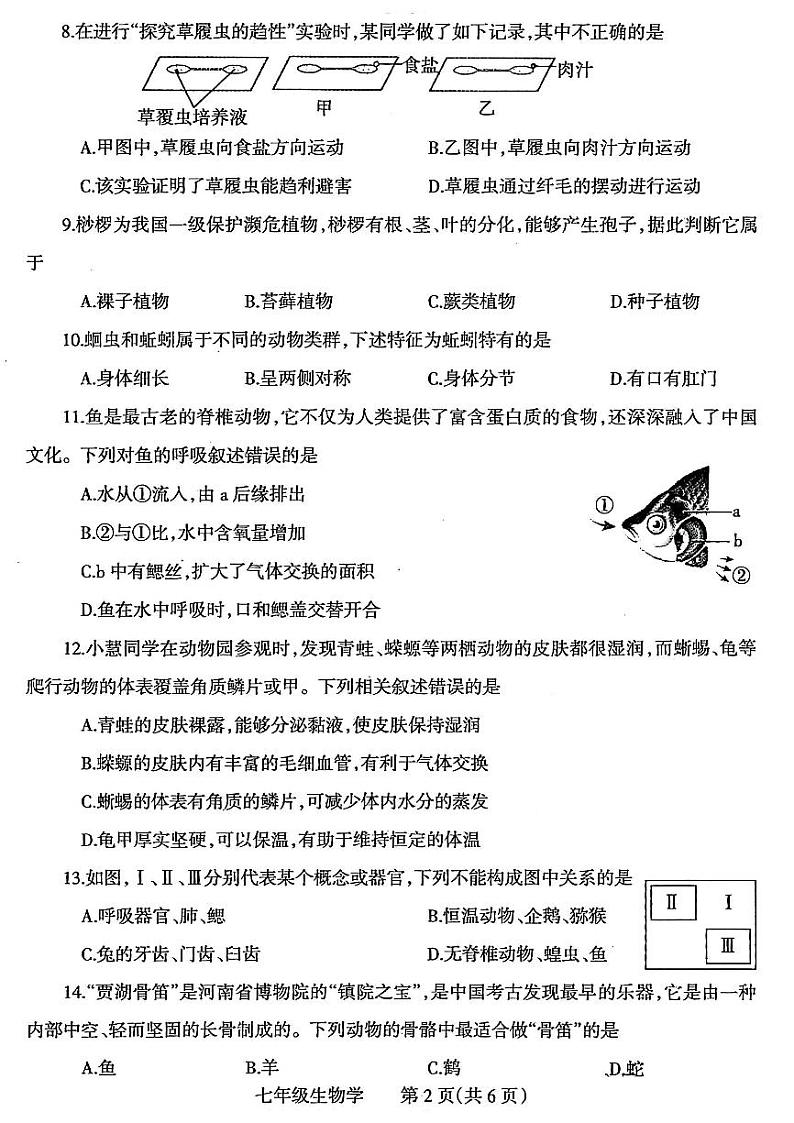 焦作市2024-2025七年级上学期期末生物试卷及答案第2页