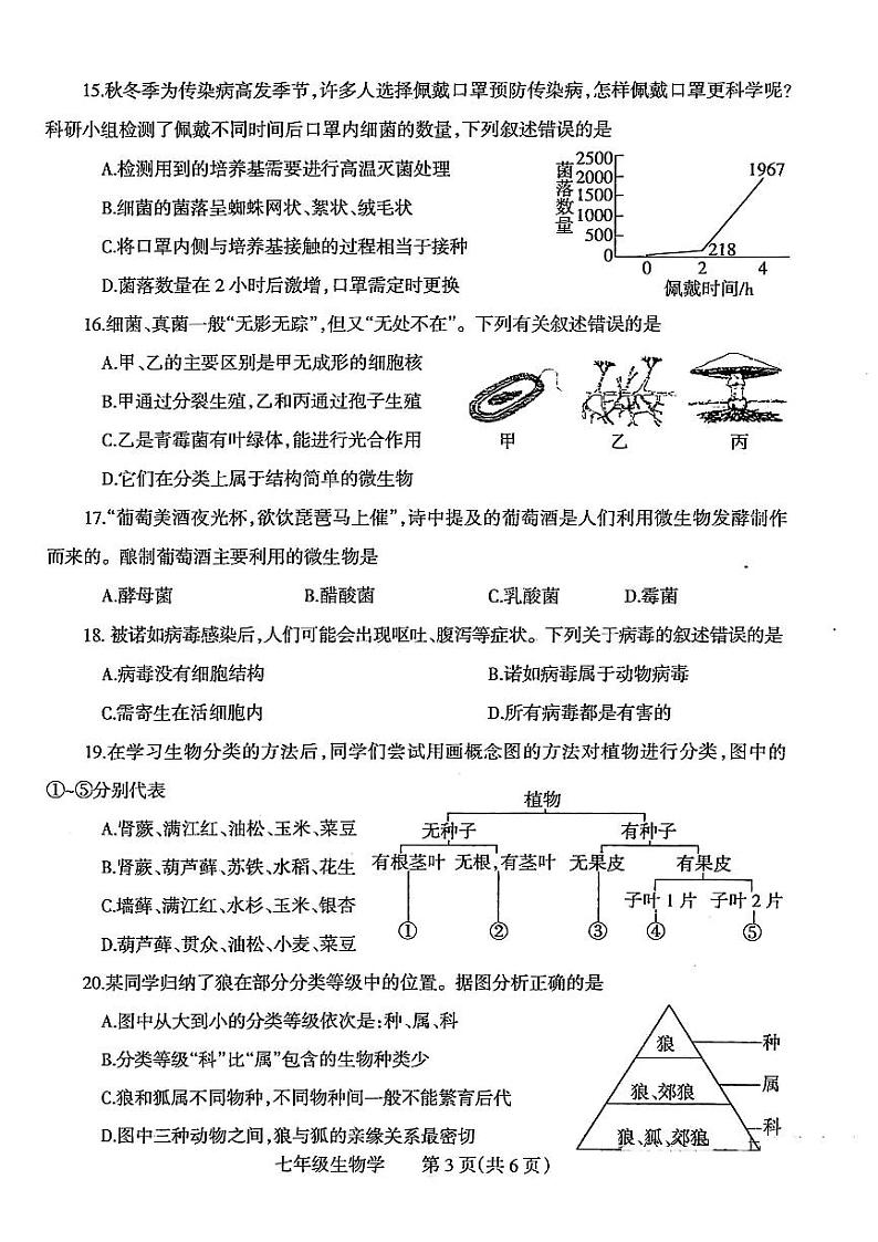 焦作市2024-2025七年级上学期期末生物试卷及答案第3页