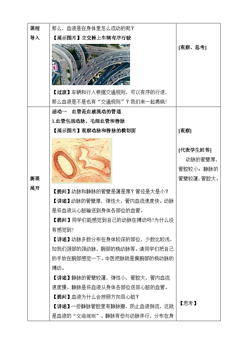 北师大版（2024）七年级下册生物7.2《血液循环》教案第2页
