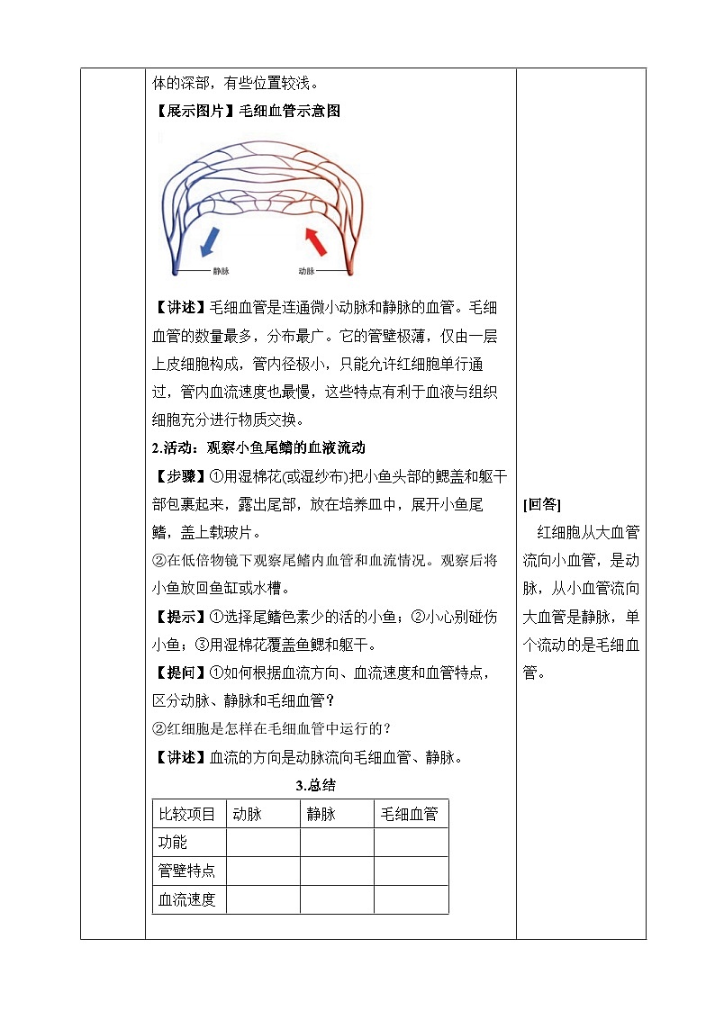 北师大版（2024）七年级下册生物7.2《血液循环》教案第3页
