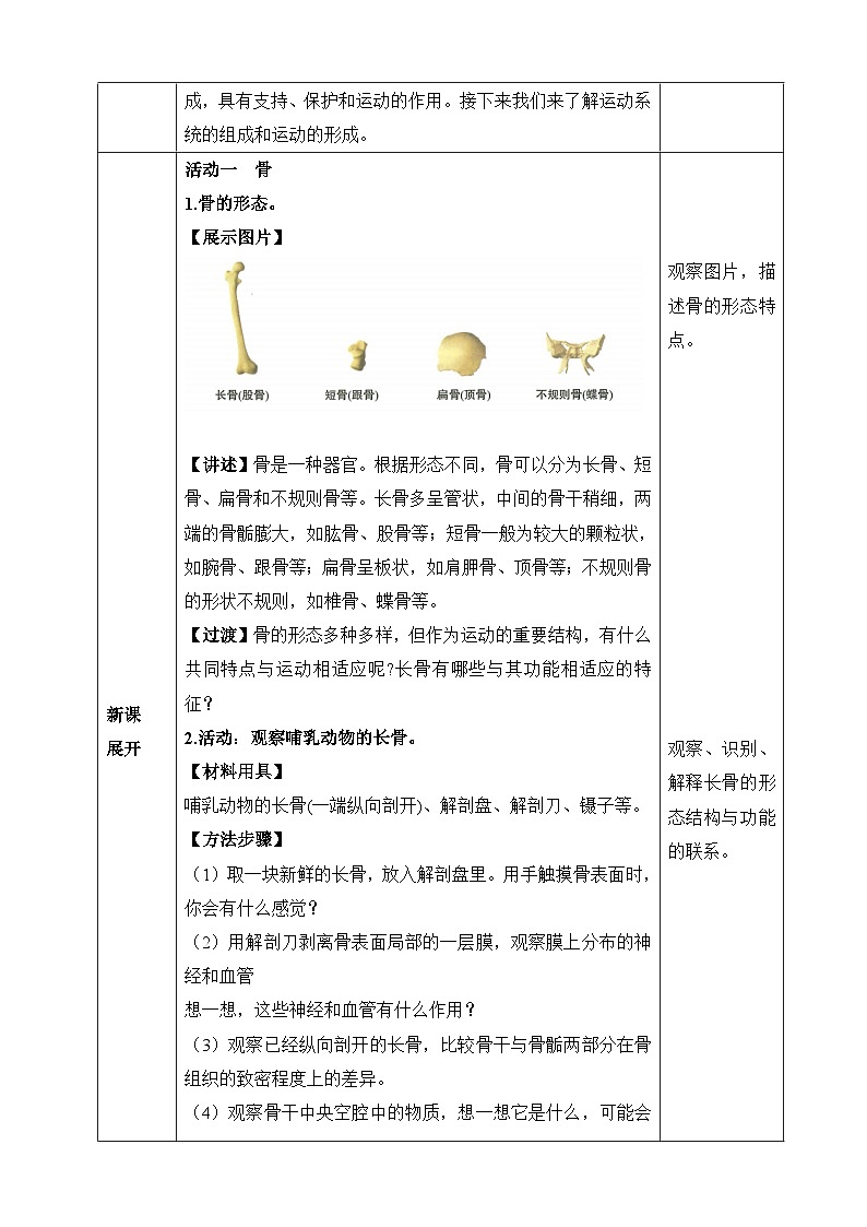 北师大版（2024）七年级下册生物11.1《人体的骨骼》教案第2页