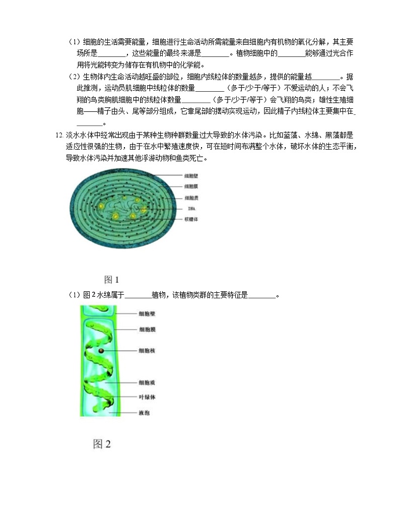 北京版八下生物 13.3 原生生物同步练习（含解析）第2页