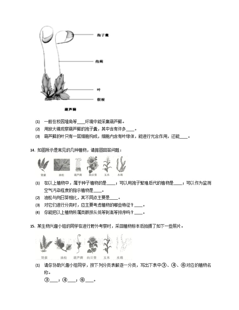 北京版八年级下生物13.4植物同步练习（含答案）第3页