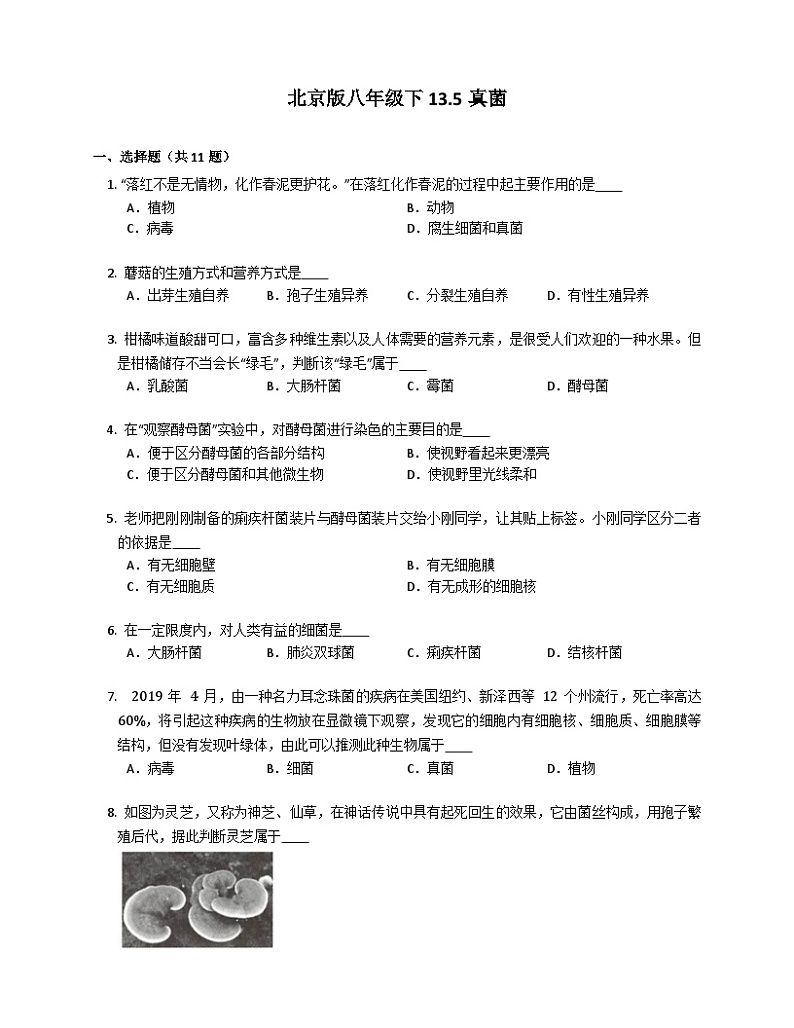 北京版八年级下生物13.5真菌同步练习（含答案）第1页