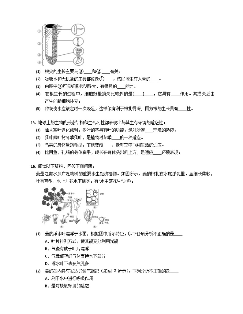北京版八年级下生物14.2生物对环境的适应和影响同步练习（含答案）第3页