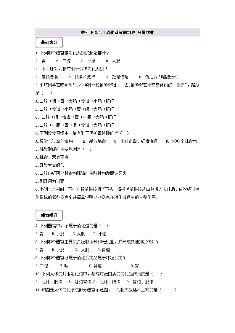 【核心素养】冀少版生物七下 3.1.1消化系统的组成 分层作业（含答案）第1页