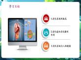 【核心素养优质课】冀少版生物七年级下册 3.1.1消化系统的组成（课件+同步教案+导学案+分层作业）
