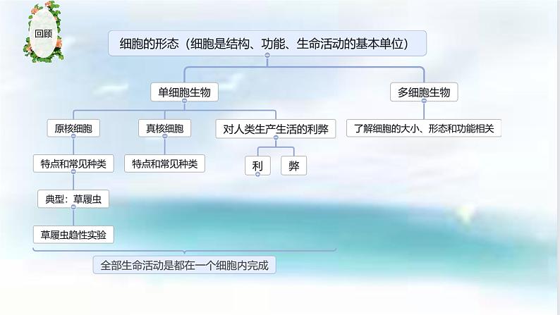 第三节 细胞的结构 课件第2页