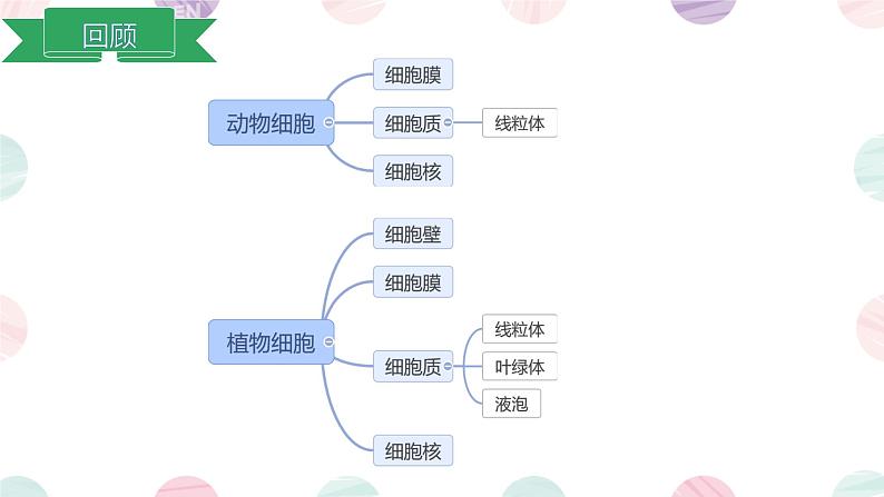 第四节 细胞的生命活动 课件第2页