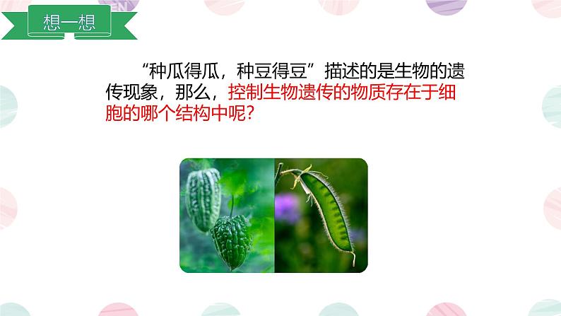 第四节 细胞的生命活动 课件第4页