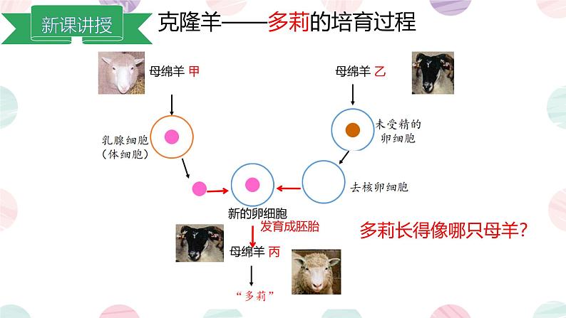 第四节 细胞的生命活动 课件第6页