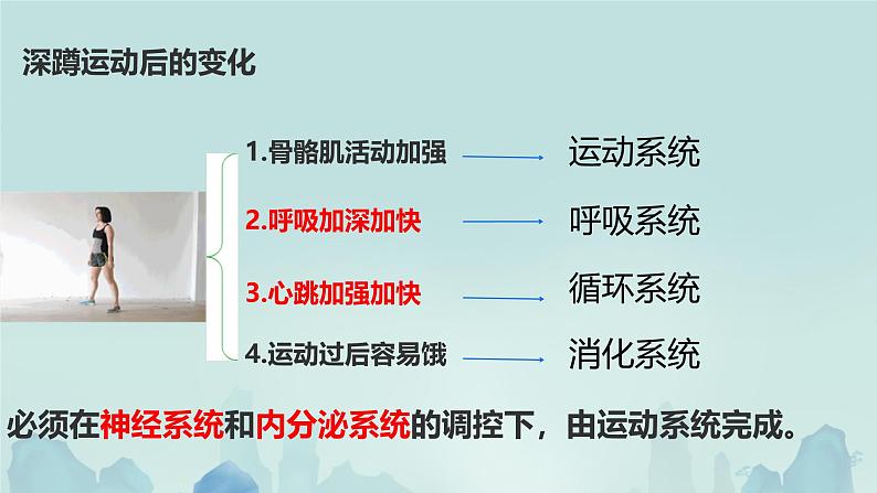 第四节 生物体 课件第4页