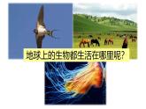 1.1.1 形形色色的生物（2024北师大版） 2024北师大版七年级生物上册课件