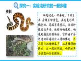 1.1.3 生物學(xué)研究的基本方法課件（2024秋） 2024北師大版七年級(jí)生物上冊(cè)課件