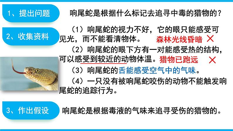 1.1.3 生物学研究的基本方法课件（2024秋） 2024北师大版七年级生物上册课件第6页