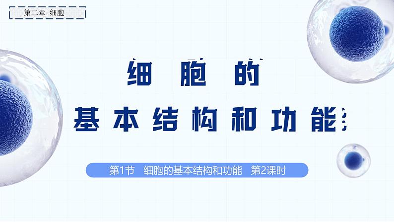 2.2.1 细胞的基本结构和功能(第2课时)2024秋 2024北师大版七年级生物上册课件第1页