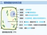 2.2.1 细胞的基本结构和功能(第2课时)2024秋 2024北师大版七年级生物上册课件