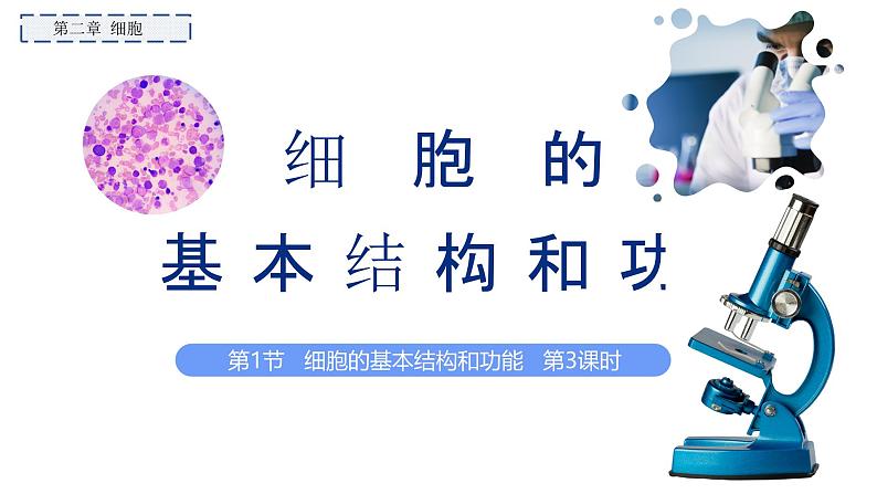 2.2.1细胞的基本结构和功能(第3课时)2024秋 2024北师大版七年级生物上册课件第1页