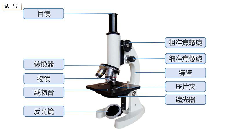 2.2.1细胞的基本结构和功能（第1课时）2024秋 2024北师大版七年级生物上册课件第7页