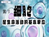 2.2.2 细胞是生命活动的单位（2024秋） 2024北师大版七年级生物上册课件