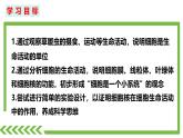 2.2.2 细胞是生命活动的单位（2024秋） 2024北师大版七年级生物上册课件