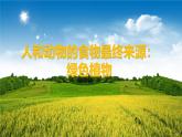 3.4.1 光合作用（第1课时，2024秋） 2024北师大版七年级生物上册课件