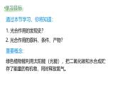 3.4.1 光合作用（第1课时，2024秋） 2024北师大版七年级生物上册课件