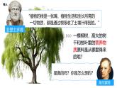 3.4.1 光合作用（第1课时，2024秋） 2024北师大版七年级生物上册课件