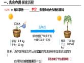 3.4.1 光合作用（第1课时，2024秋） 2024北师大版七年级生物上册课件