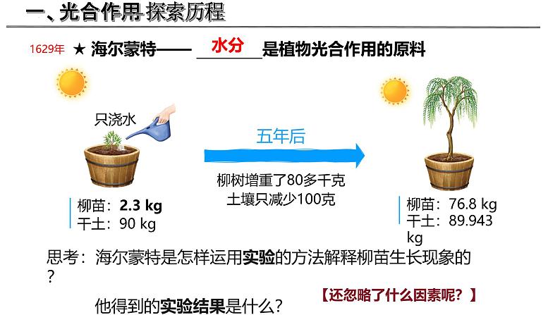 3.4.1 光合作用（第1课时，2024秋） 2024北师大版七年级生物上册课件第5页