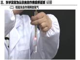 3.4.1 光合作用（第2课时，2024秋） 2024北师大版七年级生物上册课件