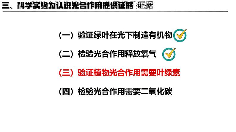 3.4.1 光合作用（第2课时，2024秋） 2024北师大版七年级生物上册课件第7页