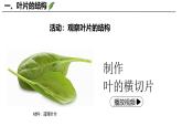 3.4.1 光合作用（第3课时，2024秋） 2024北师大版七年级生物上册课件