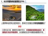 3.4.3 吸收作用（2024秋） 2024北師大版七年級(jí)生物上冊(cè)課件