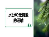 3.4.4 運(yùn)輸作用（2024秋）pptx 2024北師大版七年級(jí)生物上冊(cè)課件