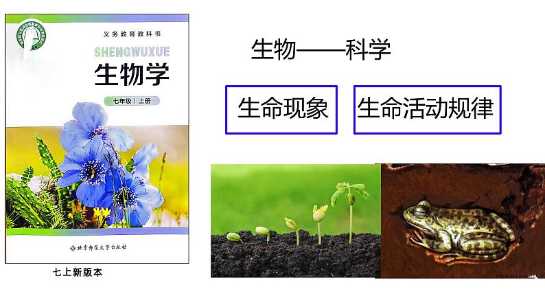 开学第一课（2024北师大版） 2024北师大版七年级生物上册课件第6页