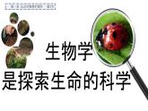 1.1.2 生物學(xué)是探索生命的科學(xué)（2024秋） 2024北師大版七年級生物上冊課件
