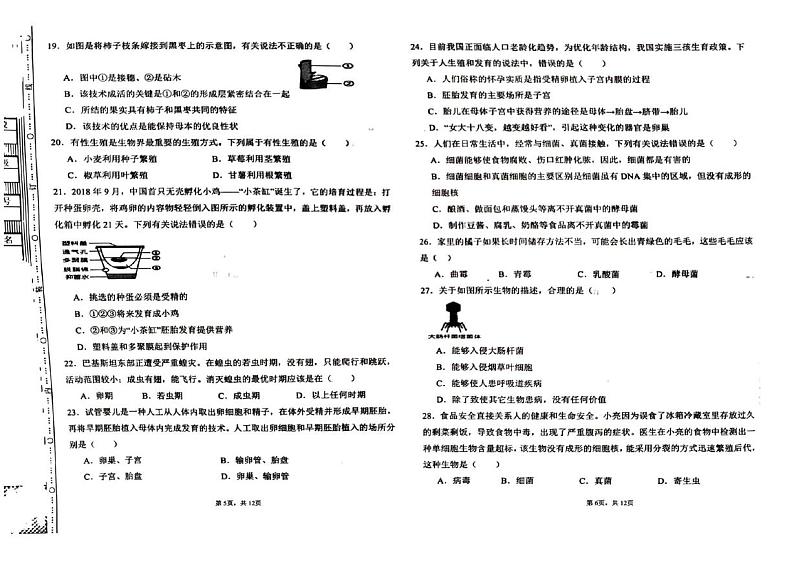 河北省廊坊市香河县2024-2025学年八年级上学期1月期末生物试题第3页