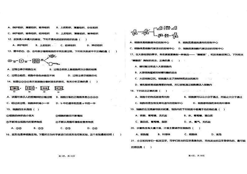 河北省廊坊市香河县2024-2025学年七年级上学期1月期末生物试题第2页
