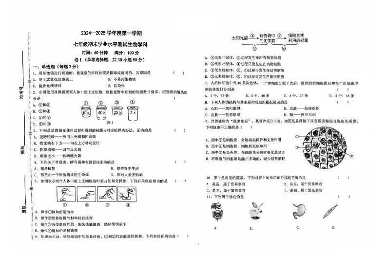 河北省石家庄市外国语学校2024-2025学年七年级上学期生物期末试卷第1页
