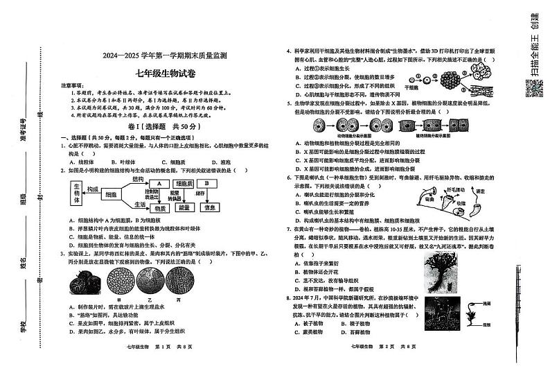 河北省石家庄市新华区2024-2025学年七年级上学期期末考试生物试卷第1页