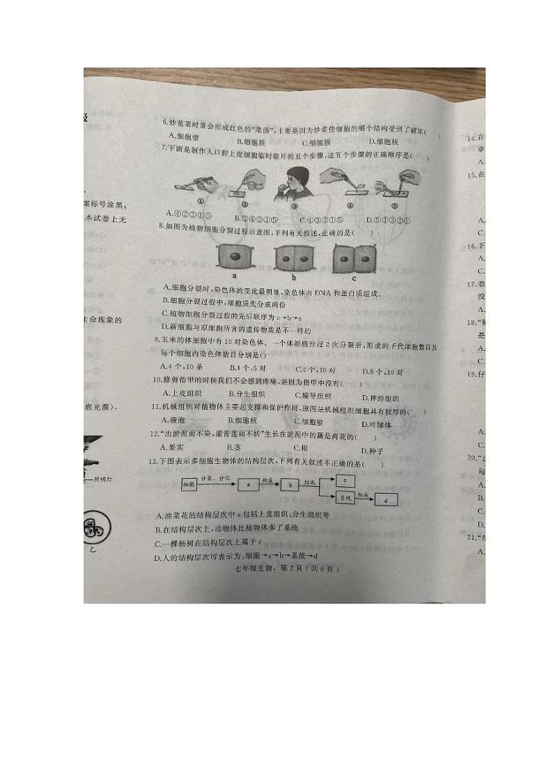 河北省石家庄卓越中学2024-2025学年七年级上学期1月期末生物试题第2页