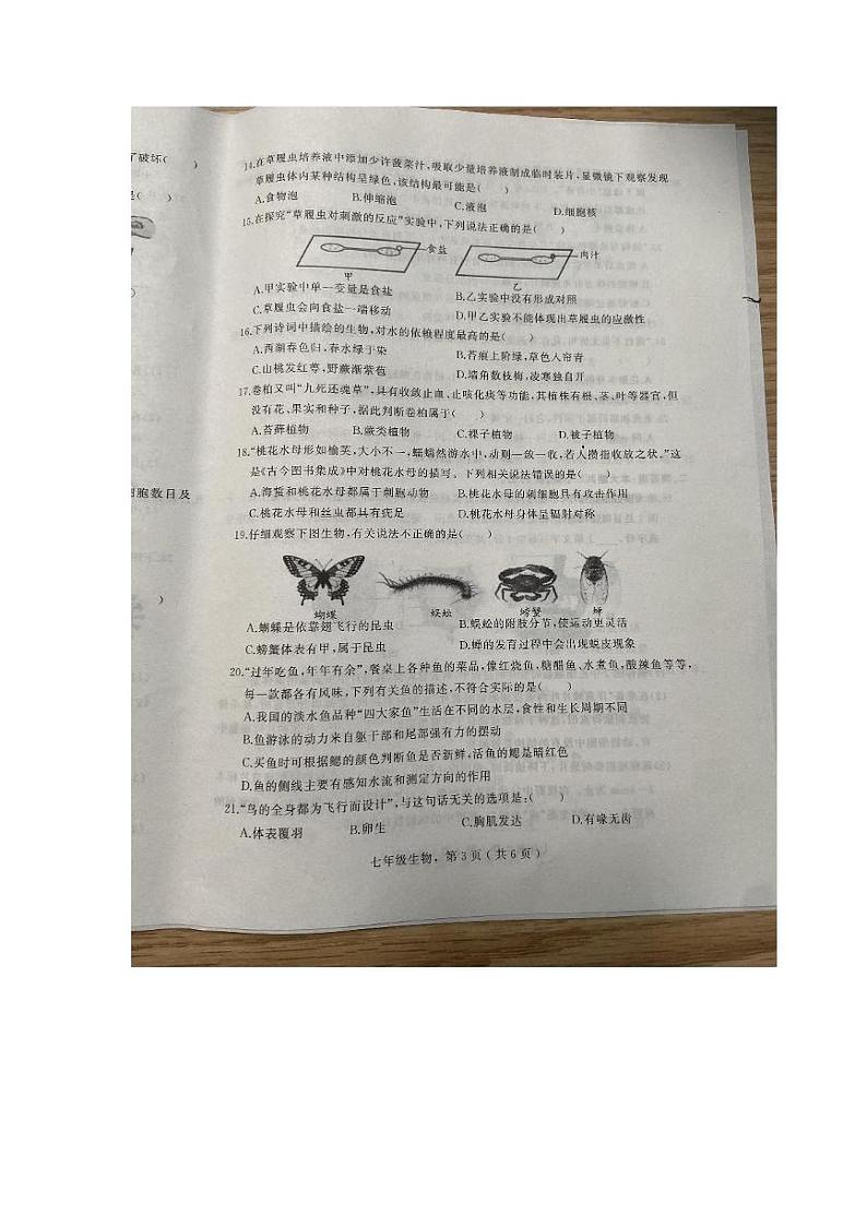 河北省石家庄卓越中学2024-2025学年七年级上学期1月期末生物试题第3页