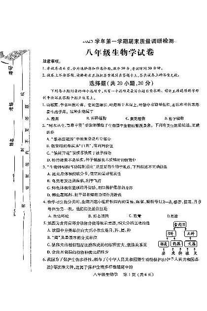 河南省洛阳市伊川县2024-2025学年八年级上学期期末生物试题第1页