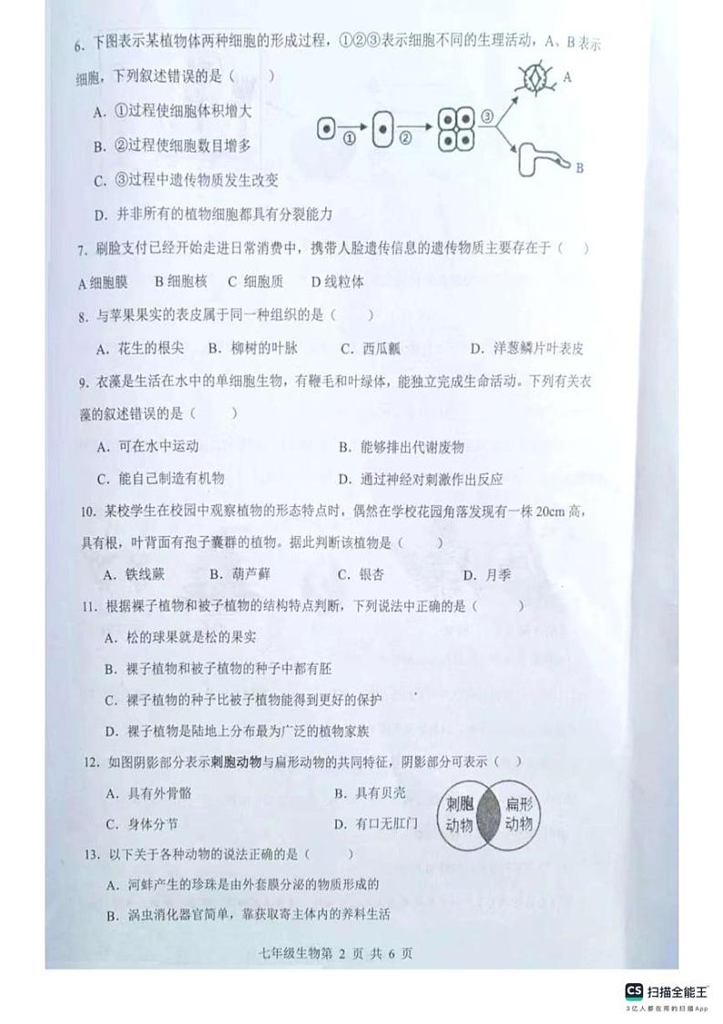 河南省南阳市社旗县2024-2025学年七年级上学期1月期末生物试题第2页