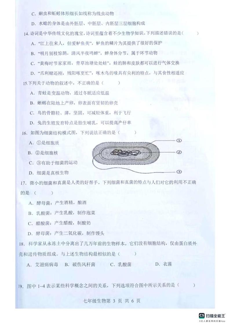 河南省南阳市社旗县2024-2025学年七年级上学期1月期末生物试题第3页